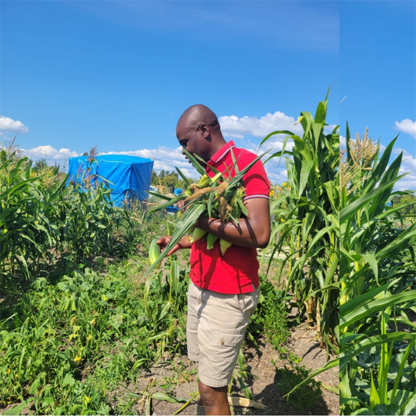 Fr Kwari picking vegetables in a garden.