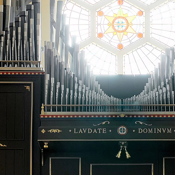 The organ and rose window