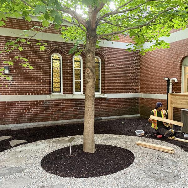 The tree outside the parish hall surrounded by paving stones. 